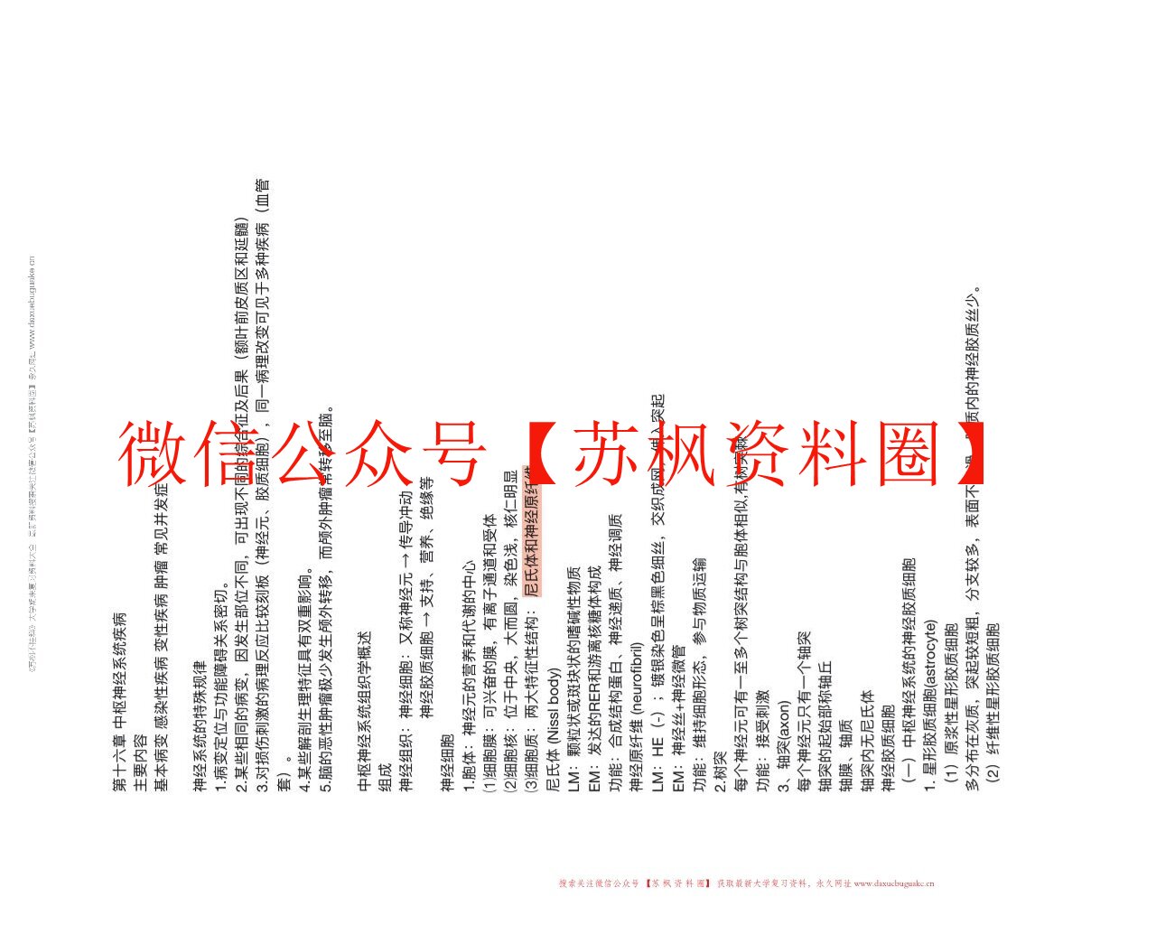 中枢神经系统